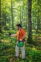 NaturaSpec Plus-Bright Forest.webp